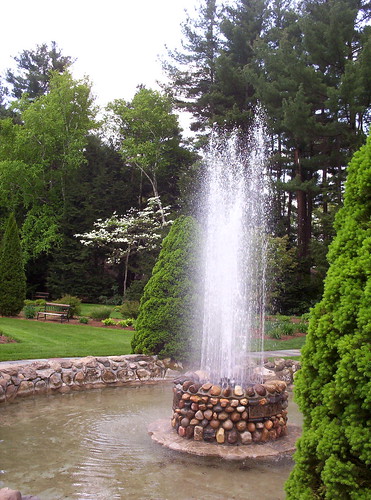 fountain with dogwood
