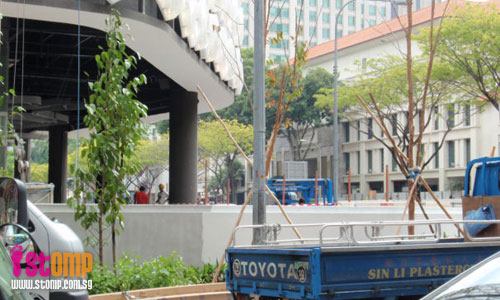 'Instant trees' to add greenery to our concrete jungle