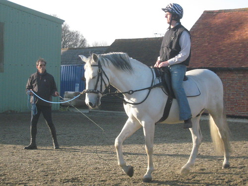Riding in a lunge lesson