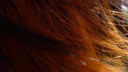 Close up of orange hair