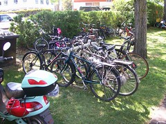The one bike rack in Willows Park, packed