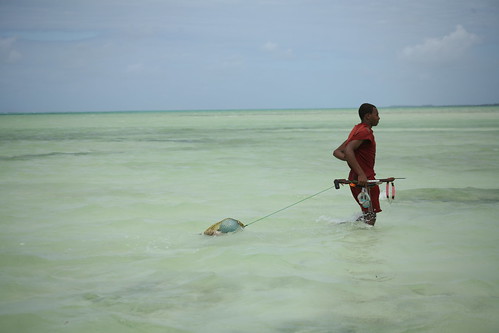 man in the sea with spear