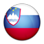 Flag of Slovenia PNG Icon