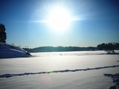 Snowy Winter Day in Norway #8