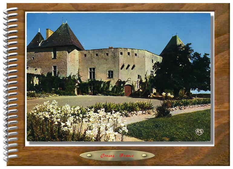 Château de La ROCHE-Les-AIGUEPERSE   (Puy-de-Dôme)