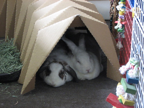 snuggling in the tunnel