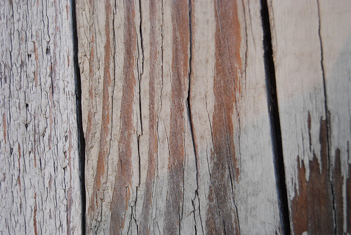 Wood Texture 01