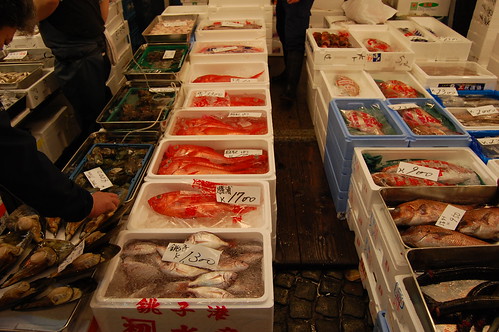TsukijiFishBoxes