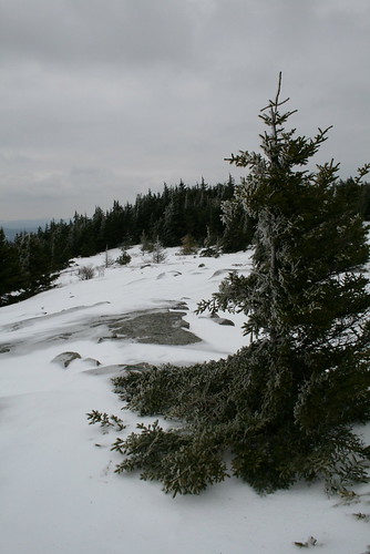 Piper Mountain