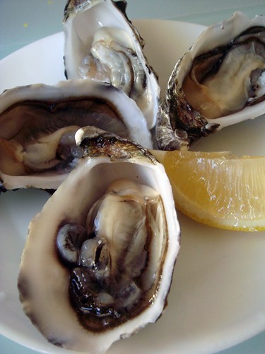 Coffin Bay Oysters