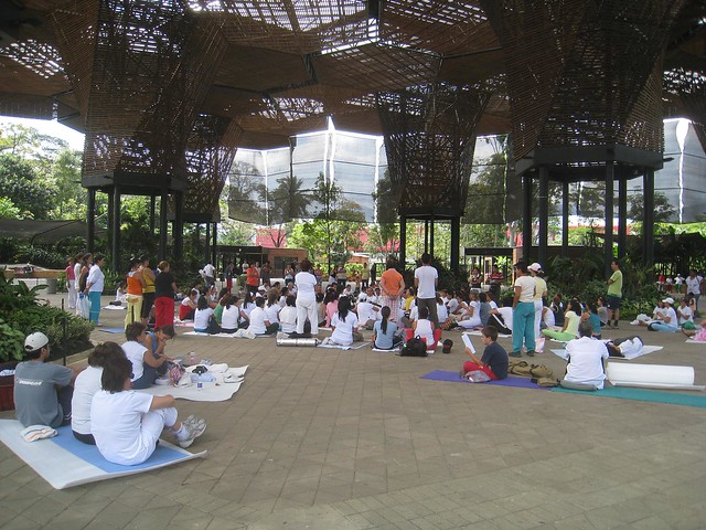 Yoga & Meditation event at the Botanical Gardens.