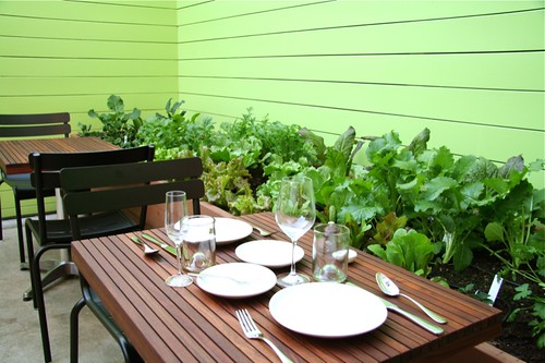 Outdoor Seating and Edible Garden