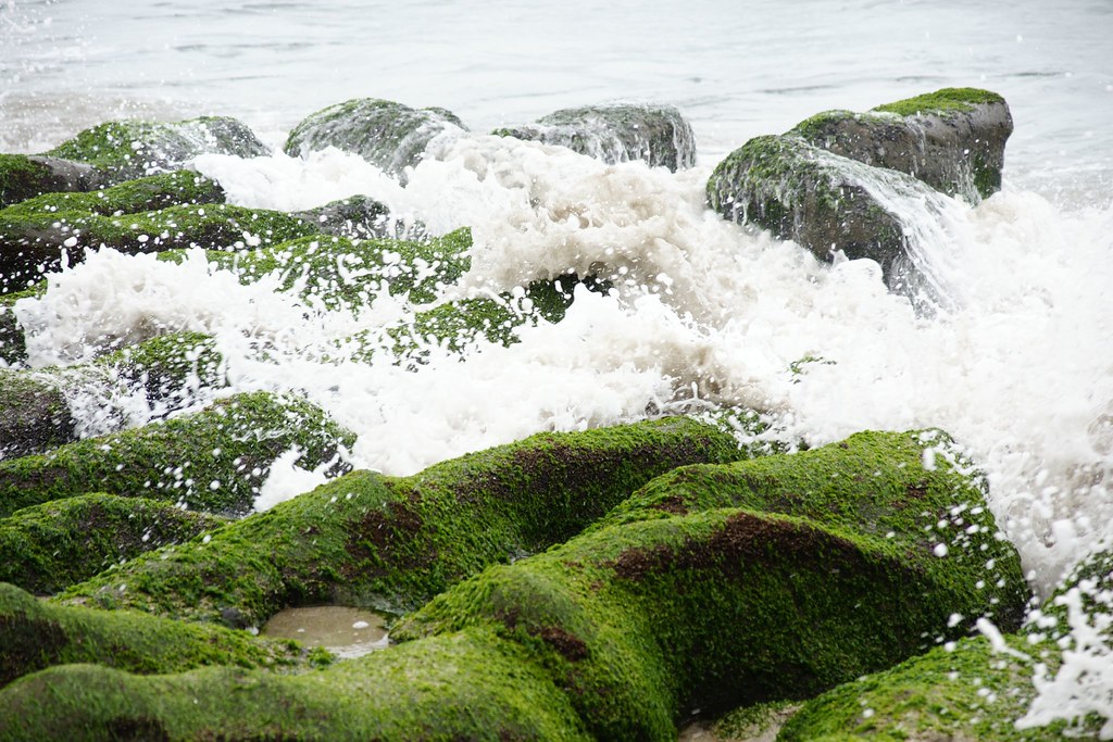 老梅-03-綠色礁岩(石槽)-09