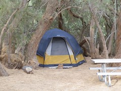 Furnace Creek Campground