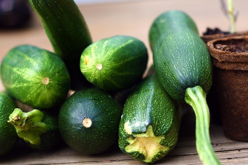cucumbers and zucchini