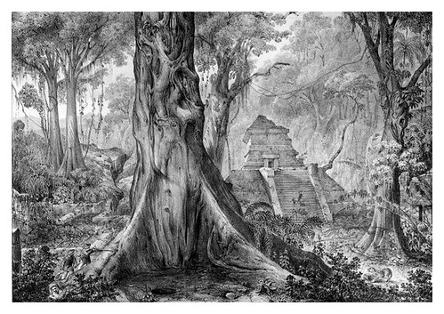 025-Puebo antiguo de los Totonecas en Tusapan-Voyage pittoresque et archéologique dans la partie la plus intéressante du Mexique1836-Carl Nebel