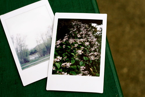 Saturday: Taking my instax out for a stroll