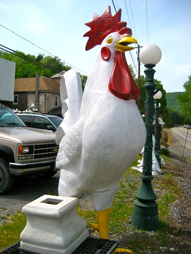 Giant Rooster