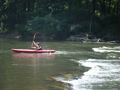 Saluda River Paddle-52
