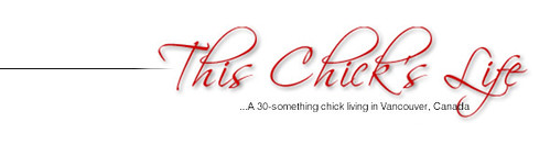 Net Chick banner