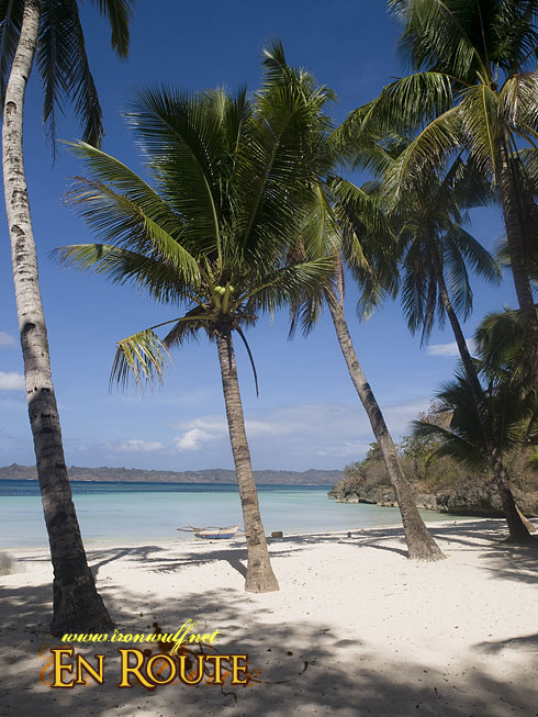 Inasakan Beach and coconut trees
