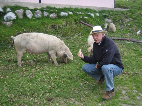 Roger likes pigs