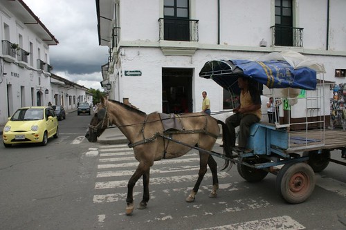 Horse-cart in downtown PopayÃ¡n, southern Colombia.