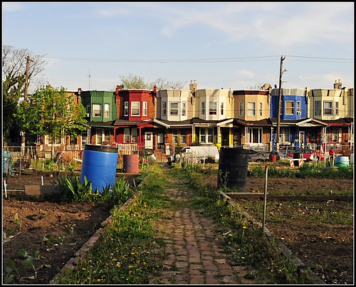 community urban garden