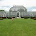 The Palm House: May 07