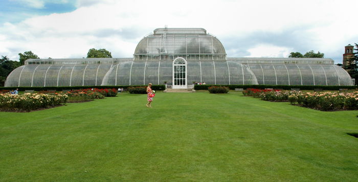 The Palm House :: Click for previous