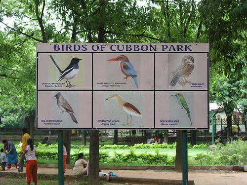 Birds of Cubben Park