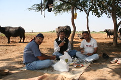 Lunch at the farmhouse (by Lalwani Rajesh)