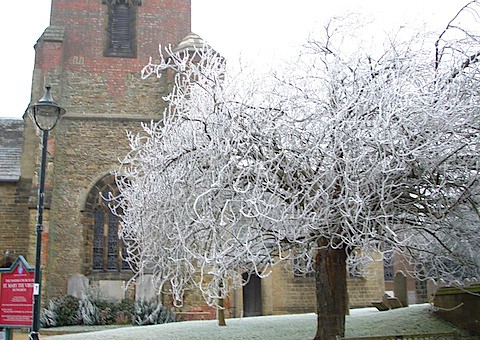 Hoar Frost St Marys Church Petworth.JPG