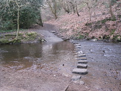 Rivelin Valley - Stepping Stones
