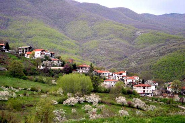  Κεντρική Μακεδονία - Ημαθία - Όρος Βέρμιο Το χωριό Φυτειά 
