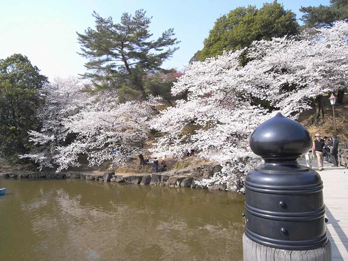 09-04-06【桜】＠浮見堂（奈良公園）-02