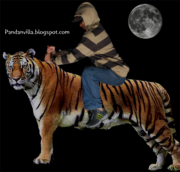 tiger ride