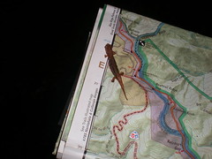  54 - Salamander on Map