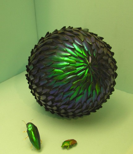 Iridescent decoration made from beetle wings