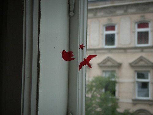 birds on my window