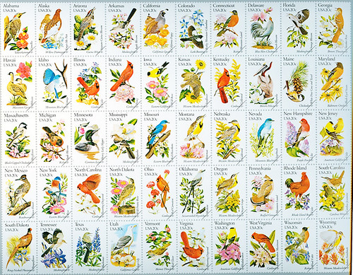 50 State Birds & Flowers