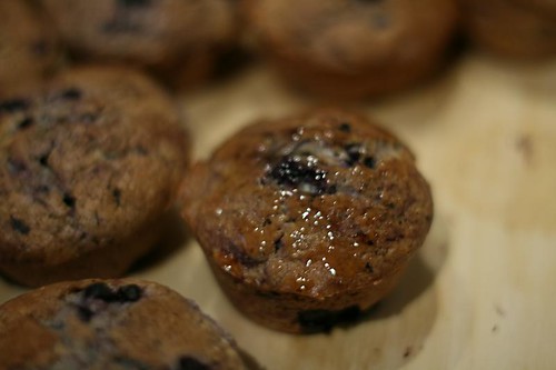 BlÃ¥bÃ¦rmuffins, how to make blueberry muffins diggmat.com