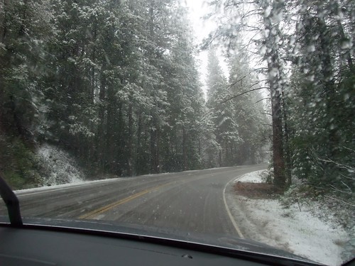 Snowfall on the Highway 41