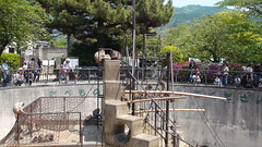 Kyoto Zoo