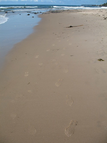 Our footprints in the sand