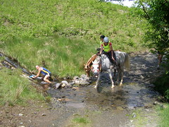 Man vs Horse Race 2009