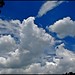 Polarized Clouds