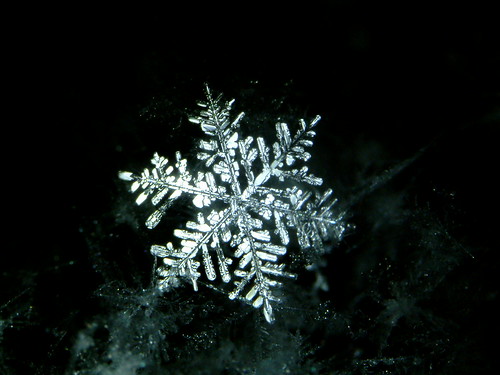 Snowflake-024