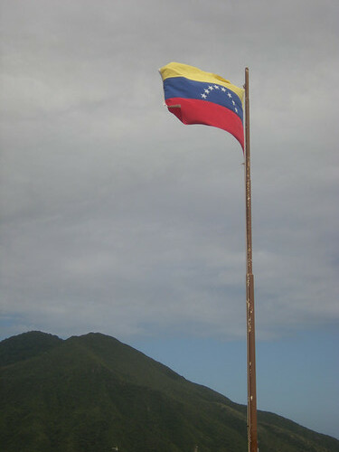 venezuelan fort flag