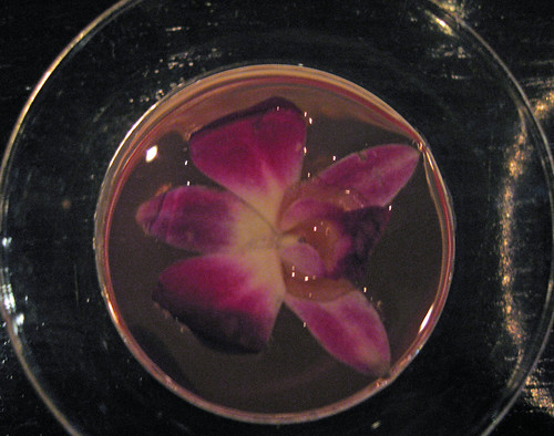 The Orchid Martini